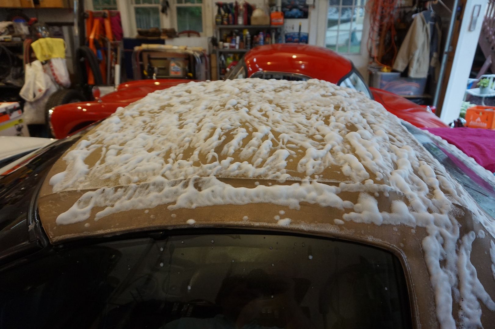 Mold/Mildew stained Tan convertible top wont clean up Help Page 6